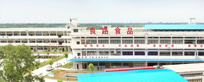 Rice Vermicelli Manufacturer